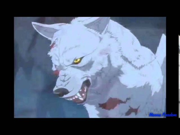 Wolfs Rain
