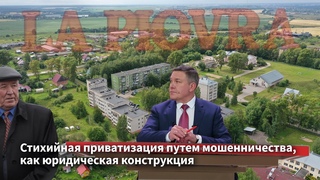 Стихийная приватизация путем мошенничества, как юридическая конструкция