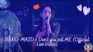 BAND-MAID / Don't you tell ME (Official Live Video)Reaction