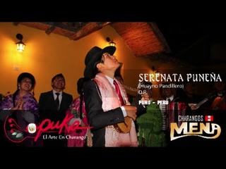 SERENATA PUNEA / Cumpleaos Andino / Happy Birthday (Charango Peruano - PUKA)