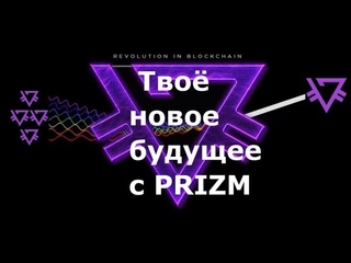 PRIZM. Факторы, влияющие на курс PRIZM