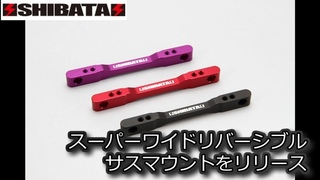 RC DRIFTSHIBATA