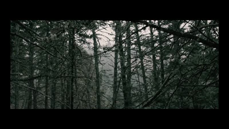 Behemoth Wolves Ov Siberia HD .