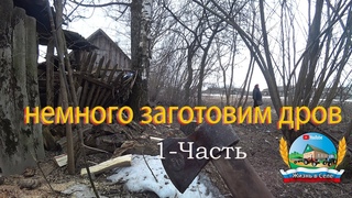Новый прибор для работы с техникой! Чистим у бабушки канаву от кленов 1 часть немного заготовим дров