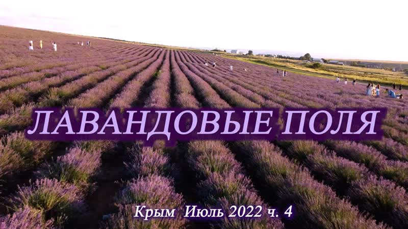 4. На машине в Крым. Июль 2022. Гуляем по лавандовым