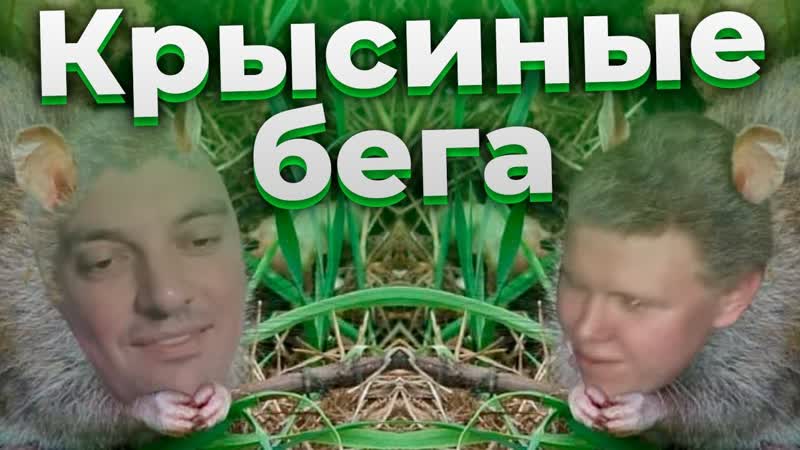 Крысиные бега Брови и