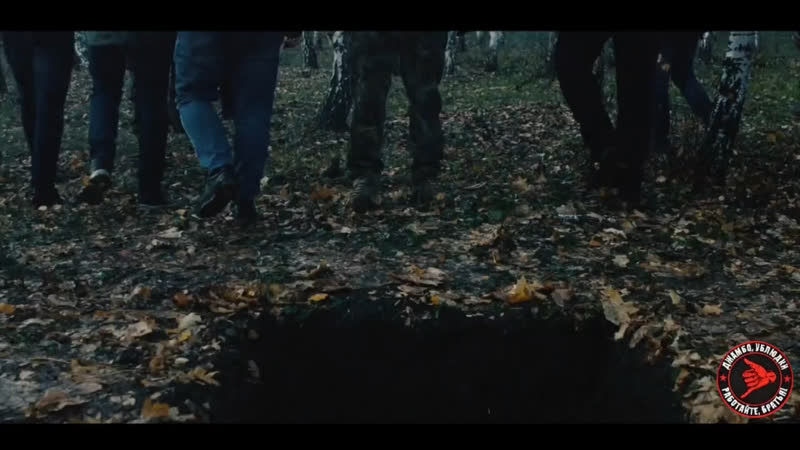 Видео от Дона