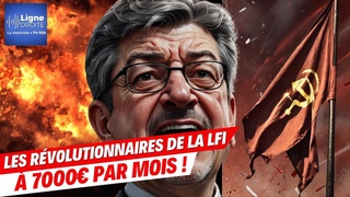 Les 71 guérilléros à 7000€/mois de la LFI qui veulent faire la loi à l’Assemblée ! - Nicolas Vidal